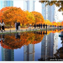 피드에 업로드 된 이미지
