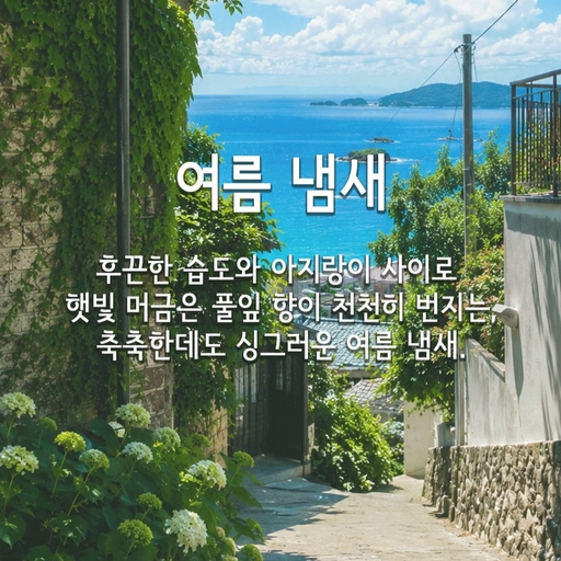 피드 이미지