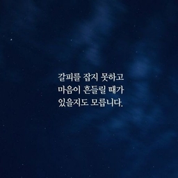 피드에 업로드 된 이미지