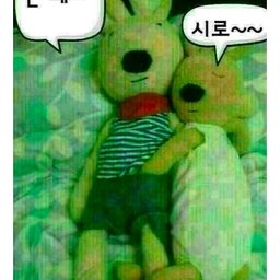 피드에 업로드 된 이미지