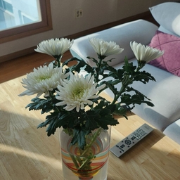 피드에 업로드 된 이미지