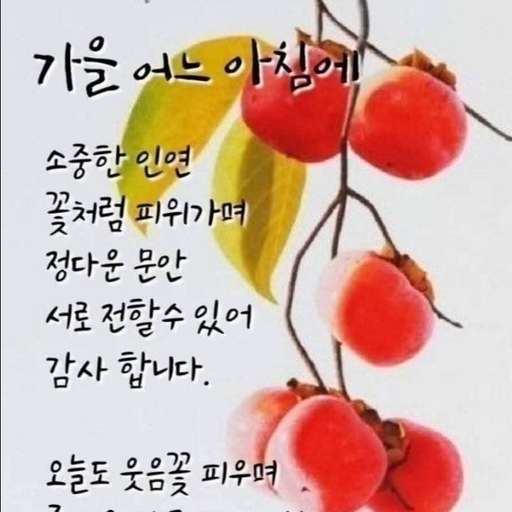 피드 이미지