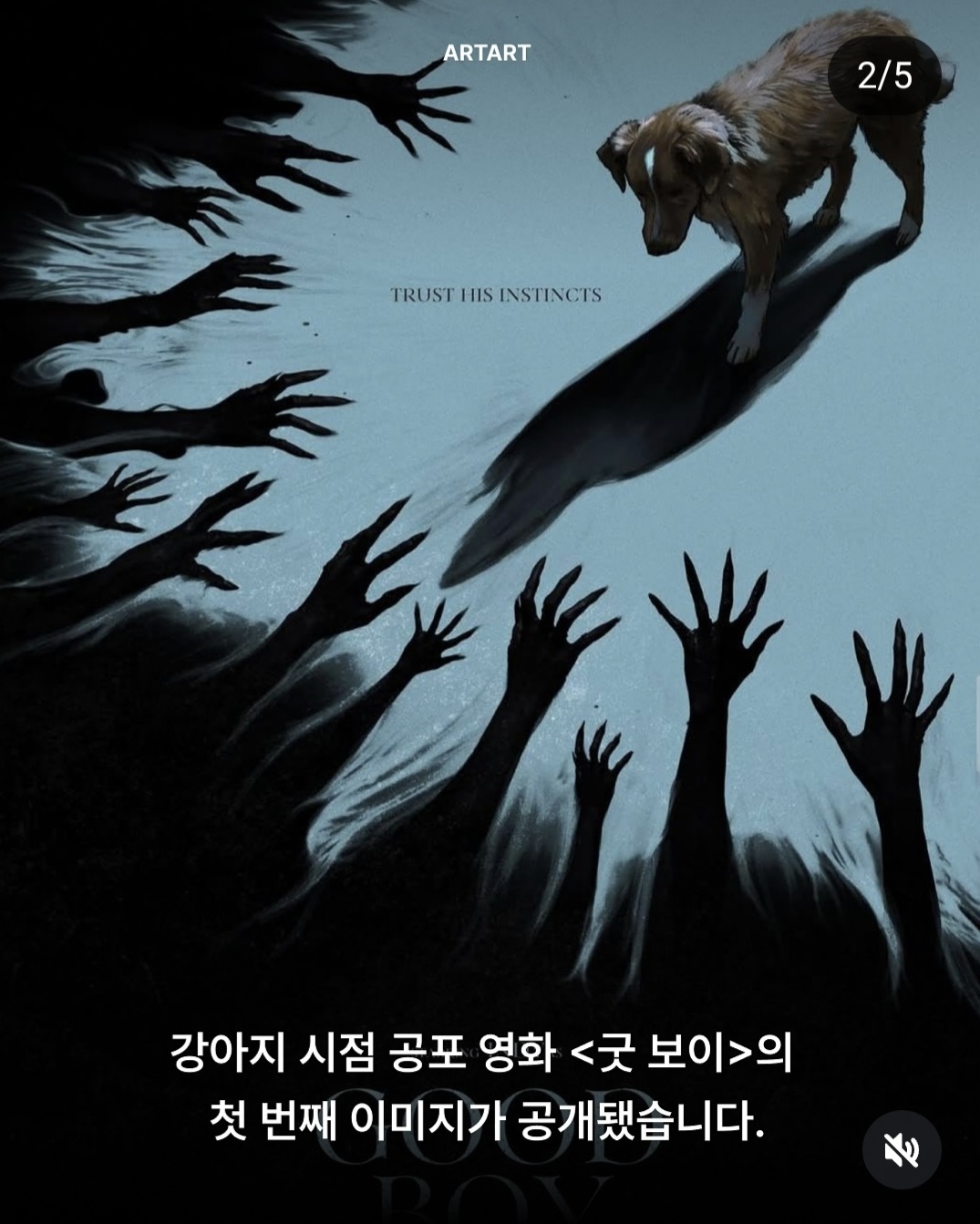 피드 이미지