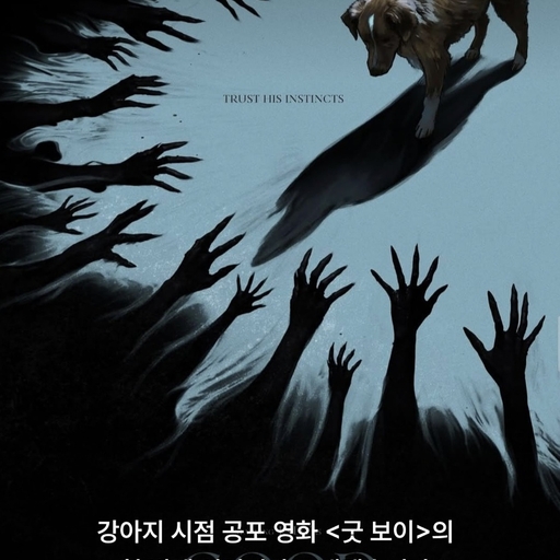 피드 이미지