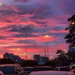 ํผ๋์ ์
๋ก๋ ๋ ์ด๋ฏธ์ง