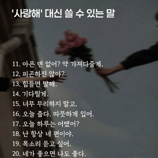 피드 이미지