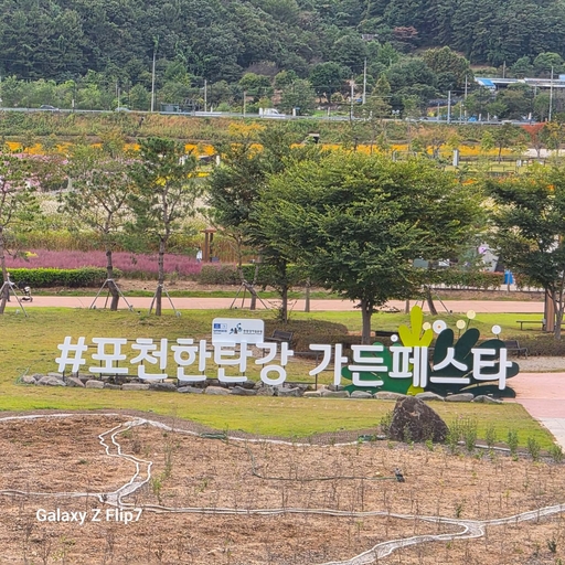 피드 이미지