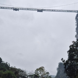 ํผ๋์ ์
๋ก๋ ๋ ์ด๋ฏธ์ง