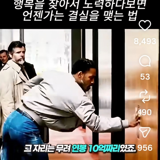 피드 이미지