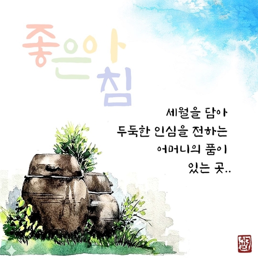피드 이미지