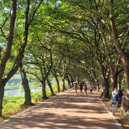 피드에 업로드 된 이미지