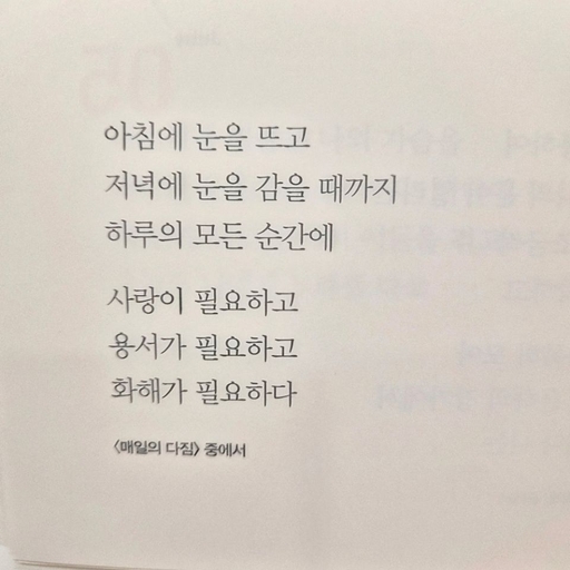 피드 이미지