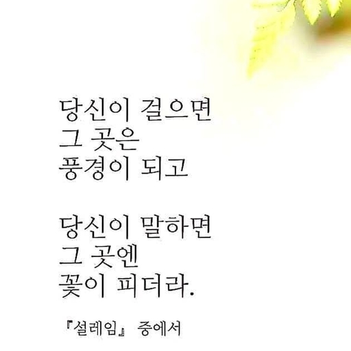 피드 이미지