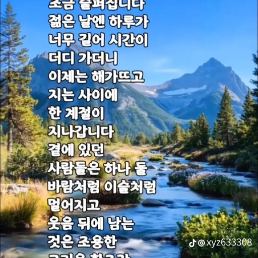피드 이미지