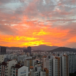 피드에 업로드 된 이미지