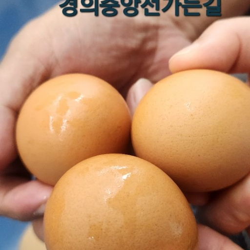 피드 이미지