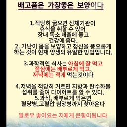 피드에 업로드 된 이미지