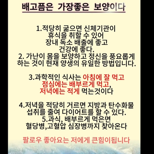 피드 이미지