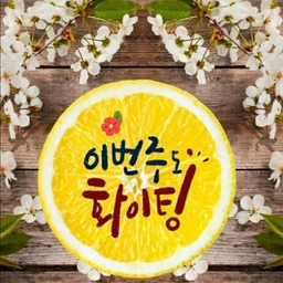 피드에 업로드 된 이미지