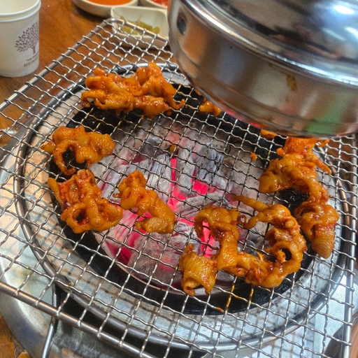 피드 이미지
