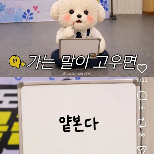피드 이미지
