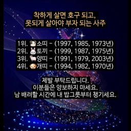 피드에 업로드 된 이미지