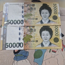 피드에 업로드 된 이미지