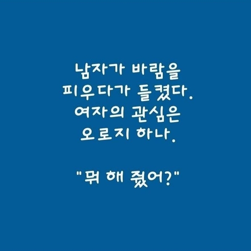 피드 이미지
