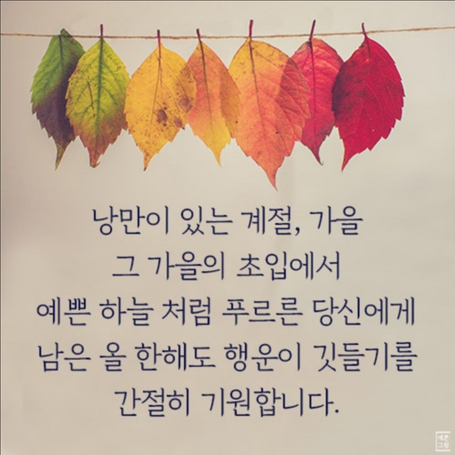 피드 이미지
