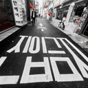 멤버 프로필