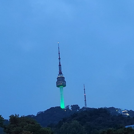 피드 이미지