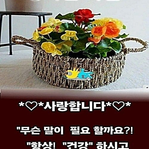 피드 이미지