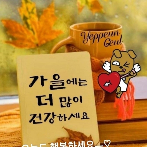 피드 이미지