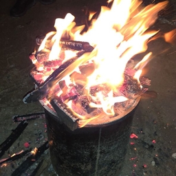 피드에 업로드 된 이미지