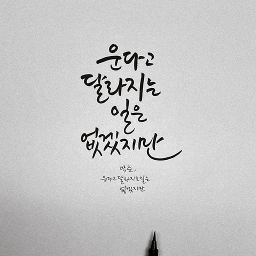 피드 이미지