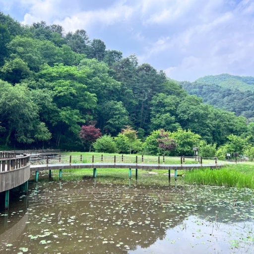 ํผ๋ ์ด๋ฏธ์ง