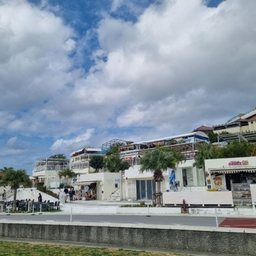 피드에 업로드 된 이미지