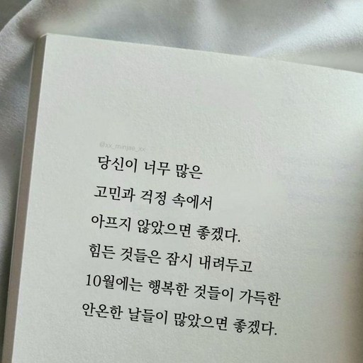 피드 이미지