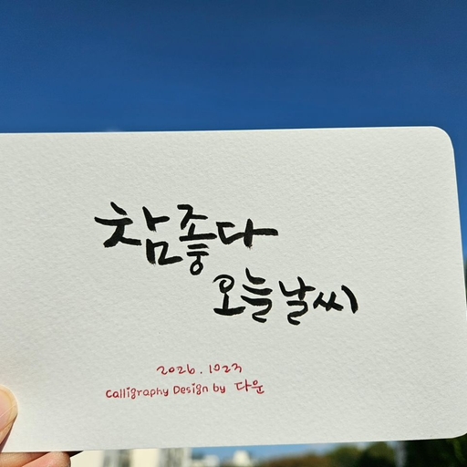 피드 이미지