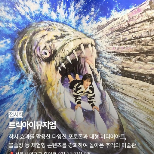 피드 이미지