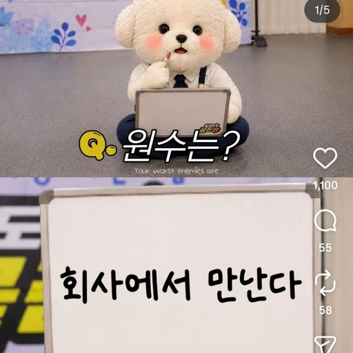피드 이미지
