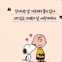 피드에 업로드 된 이미지