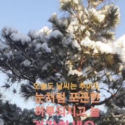 피드에 업로드 된 이미지