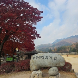 피드에 업로드 된 이미지