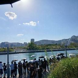 피드에 업로드 된 이미지