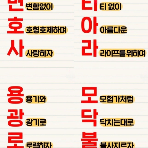 피드 이미지