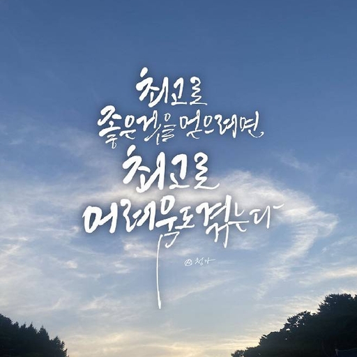 피드 이미지