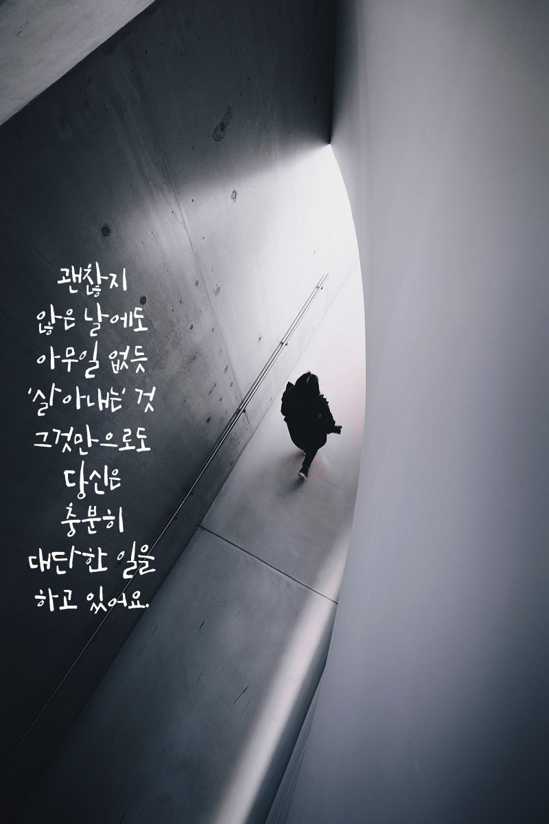 피드에 업로드 된 이미지