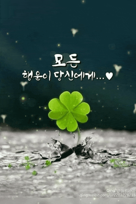피드 이미지