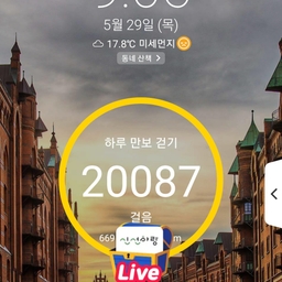 피드에 업로드 된 이미지